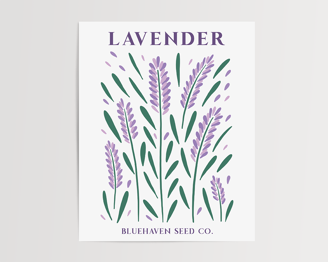 Photo of the Flower Garden Seed Pack Art Print of lavender by Lucky Dog Design Co.