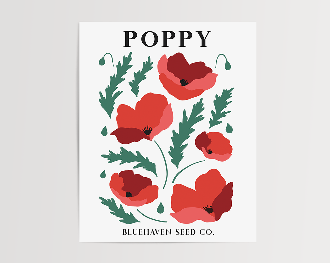 Photo of the Flower Garden Seed Pack Art Print of poppy by Lucky Dog Design Co.